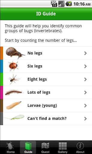 【免費教育App】Bugs Count-APP點子