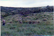 Hermoso Rancho En Las Montanas