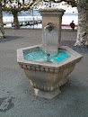 Fountain on the Lake