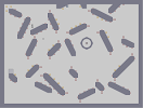 Thumbnail of the map 'Hexateuch'