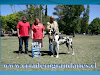 Cachorros Grandanes Legitimos