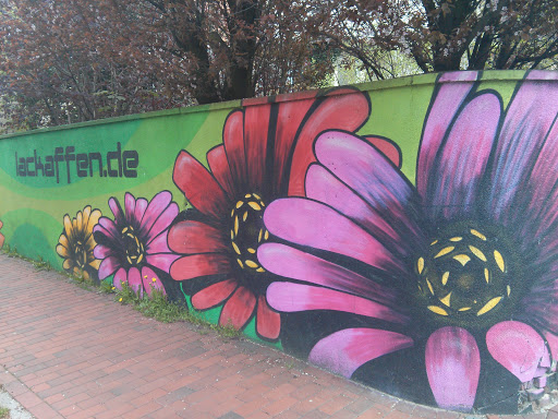 Street Art Lackaffen