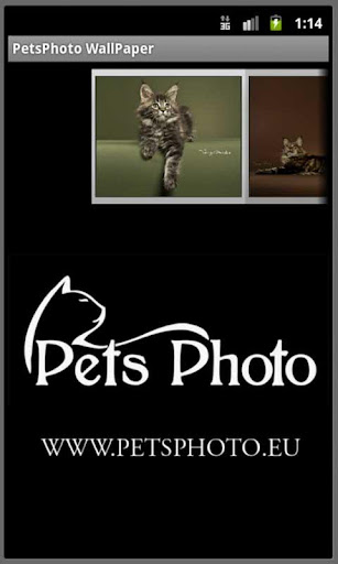 Pet Photo WallPaper