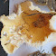 Chanterelle
