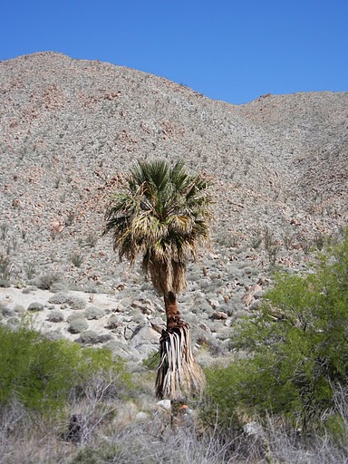 Spotting Image 1