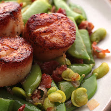 Seared Scallops with Fava Bean Sauté Recipe