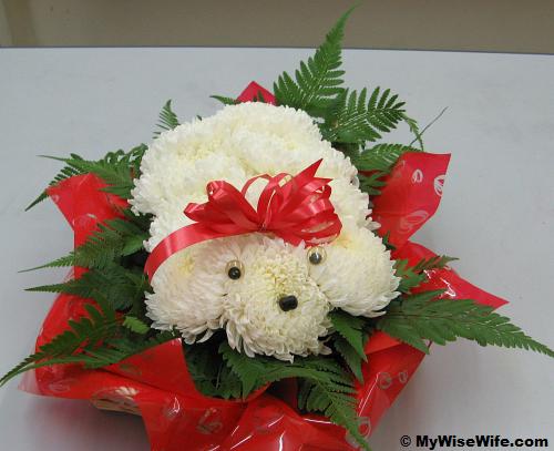 Poodle with eyes and nose
