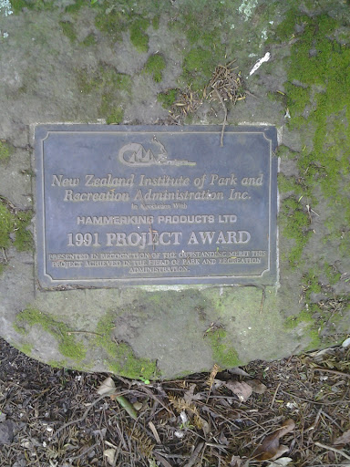 1991 Project Award