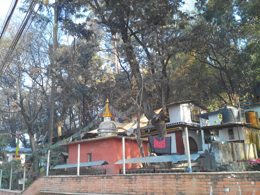 Buddhist Monastery 