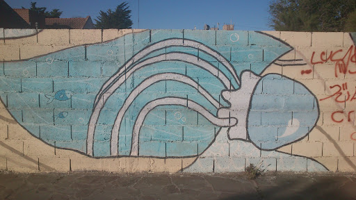 Arte Urbano En Condarco Y M Jones