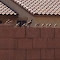 Spotting 4