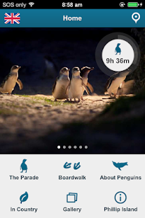 How to mod Penguin Parade Phillip Island lastet apk for android