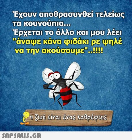 Έχουν αποθρασυνθεί τελείως Τα κουνουπια Έρχεται Το άλλο και μου λέει αναψε κανα φιοακι ρε Ψηλε να Την ακούσουμε !! ngun είναι Was καθρέφτηs 