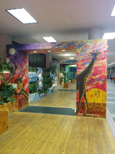 Art Gallery at Oasis