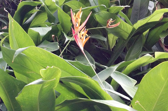 Spotting Image 1