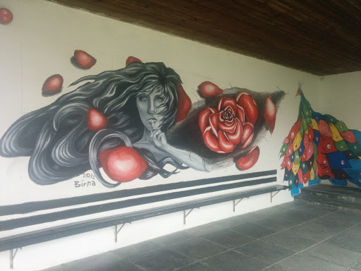 Åsane Folkehøyskole Mural