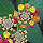 South American Species