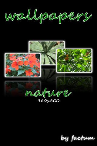 wallpapers-nature-960x800-ZERO