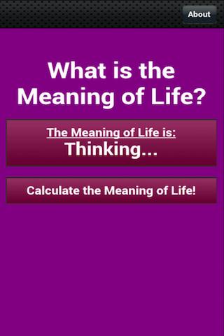 What is the Meaning of Life