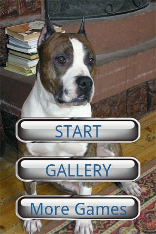 Dog Puzzle: American Staffords