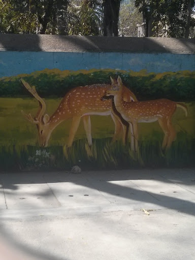 Deer Family Wall Art 