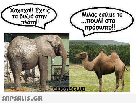 Χαχαχα!! Έχεις τα βυζιά στην πλάτη!! Μιλάς εσύ,με το πουλί στο πρόσωπο!! HIOTISCLUB 