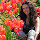 Jimena