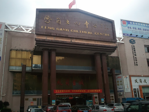 凤岗文化中心