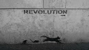 Revolution Cat