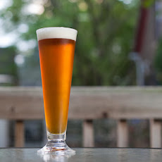 Pilsner (For Intermediate Homebrewers)