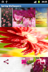 How to mod Spring Wallpapers 1.0 mod apk for pc