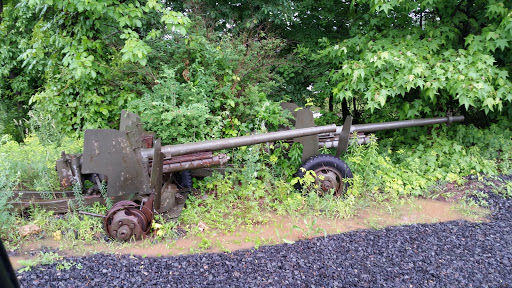 Army Cannons