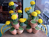 Diseno Instalacion Y Mantenimiento De Jardines