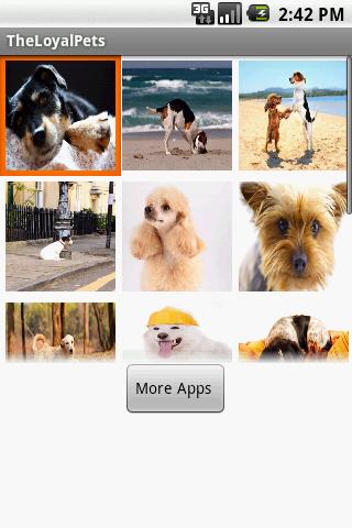 Dogs Wallpapers Trial