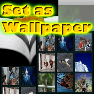 Internet Photos Wallpapers.apk 1.01