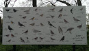 Birds at St. Ann's Well Gardens 