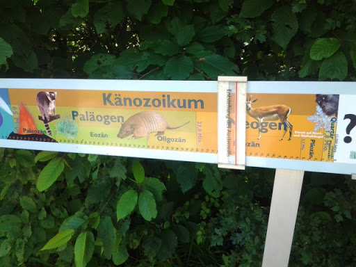 History of the World Kaenozoikum