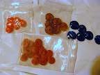 buttons