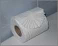 Toilettenpapier vermeiden um das Klima zu schützen