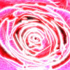 electric Rose BLINDS.jpg