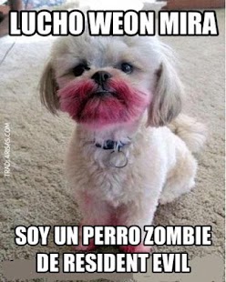 How to download Chiste y humor 1.0 unlimited apk for laptop