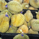 Durian