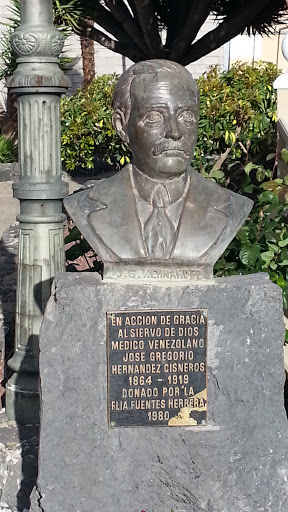 Busto José Gregorio Hernández Cisneros