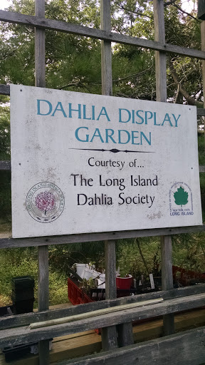 Dahlia Display Garden