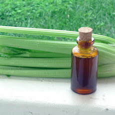 DIY Celery Bitters