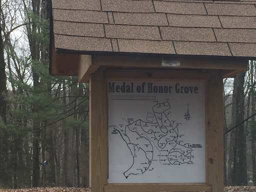 Medal Of Honor Grove Map