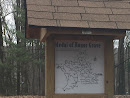 Medal Of Honor Grove Map