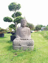 Budha