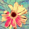 FLORALarrangementONEseanMARTORANA.jpg
