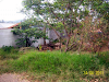 Lote Desamparados 1